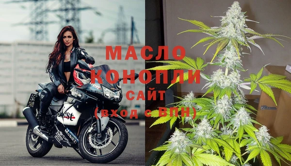молекула духа Балахна
