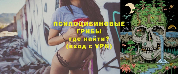 молекула духа Балахна