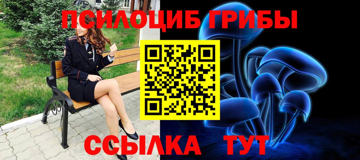 Псилоцибиновые грибы Psilocybine cubensis  Вход с VPN  Белово 